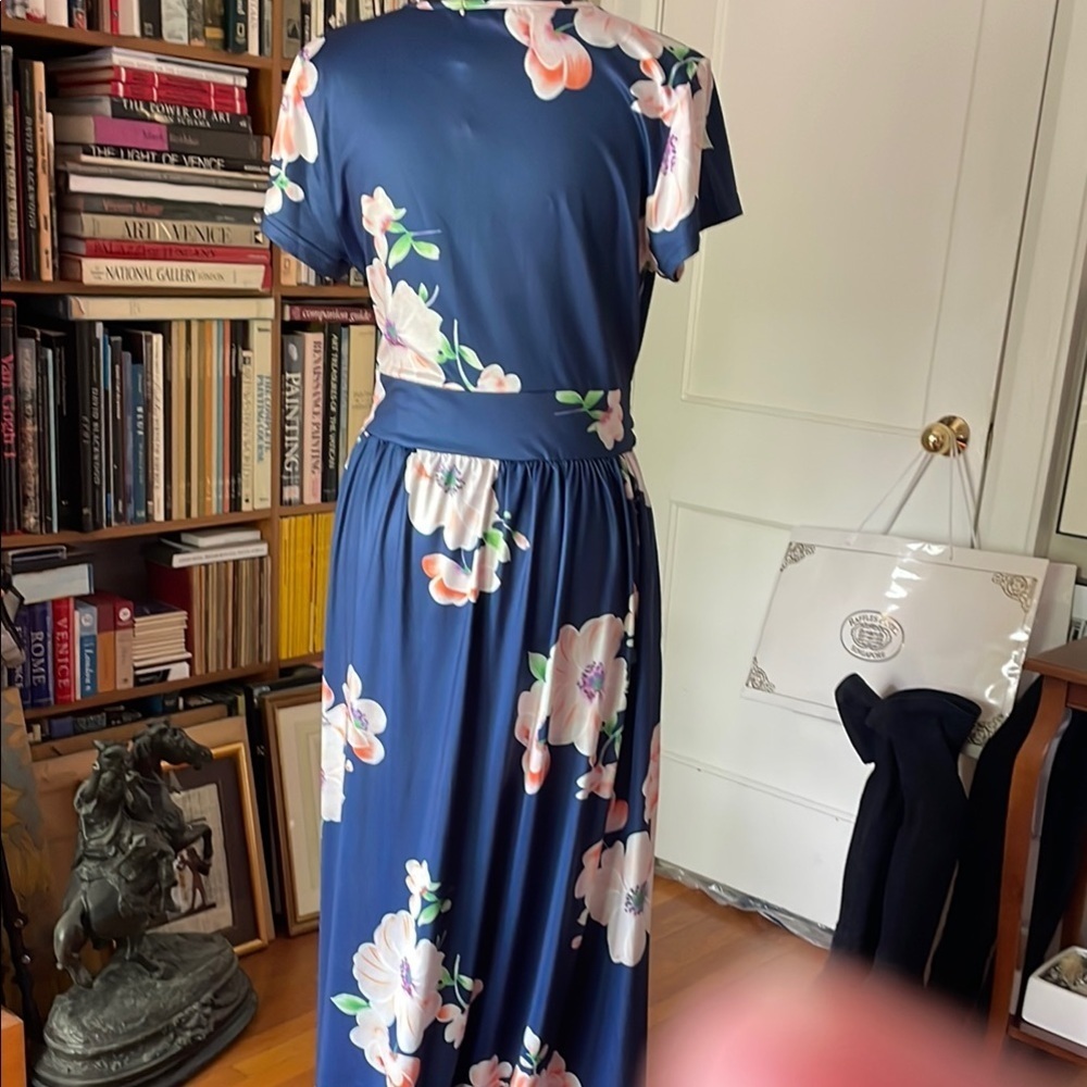 Blue and Pink V-Neck Flutter Sleeve Maxi Dress - Picture 9 of 14